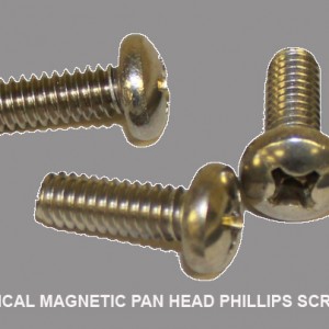 Typical Magnetic Pan Head Phillips Screw